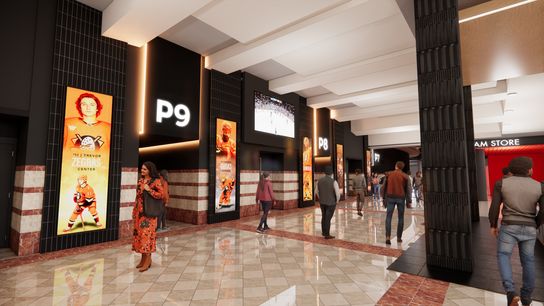 Ducks owners invest $1 billion for Honda Center renovations taken at Honda Center (Anaheim Ducks)